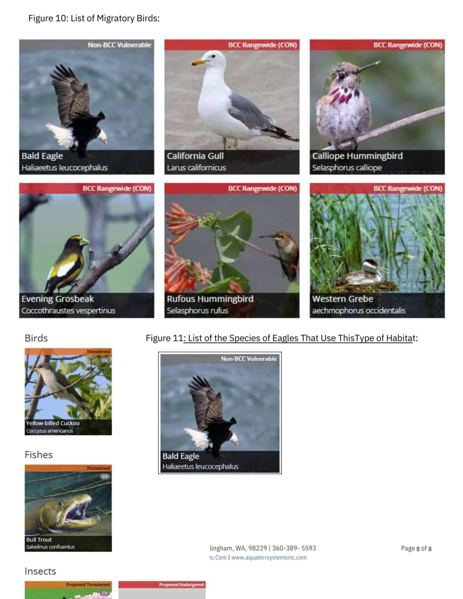List Of Migratory Birds Snapshot (1)
